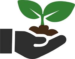 Sustainable Design Approach