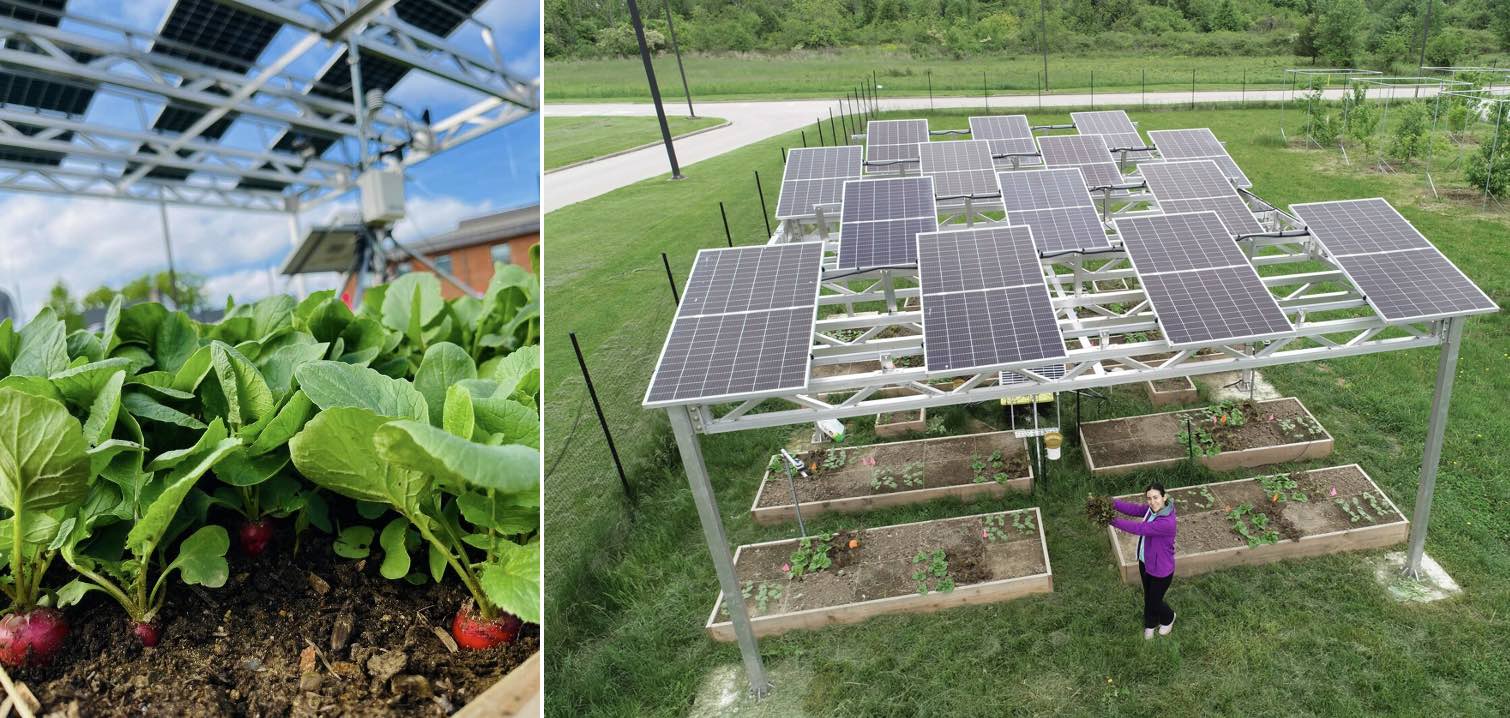 AgriVolt Integration Systems